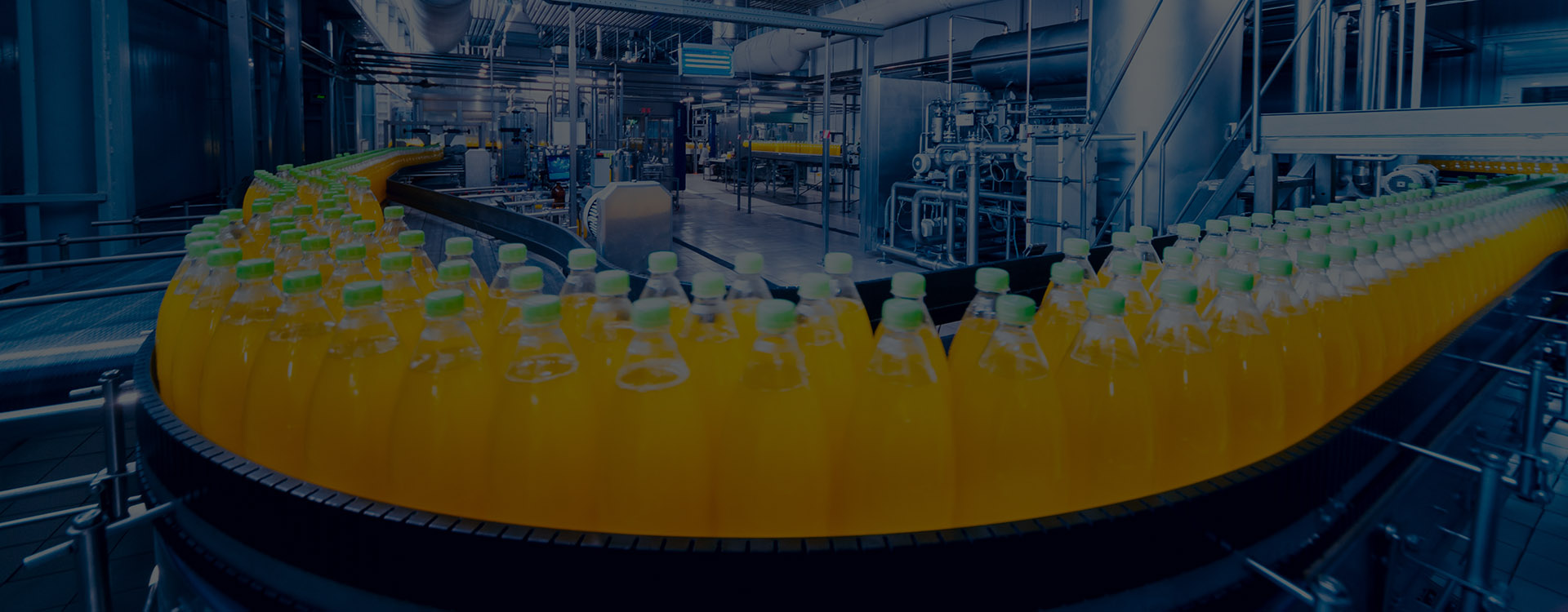 CEA - Consultoria de Excelência em Alimentos